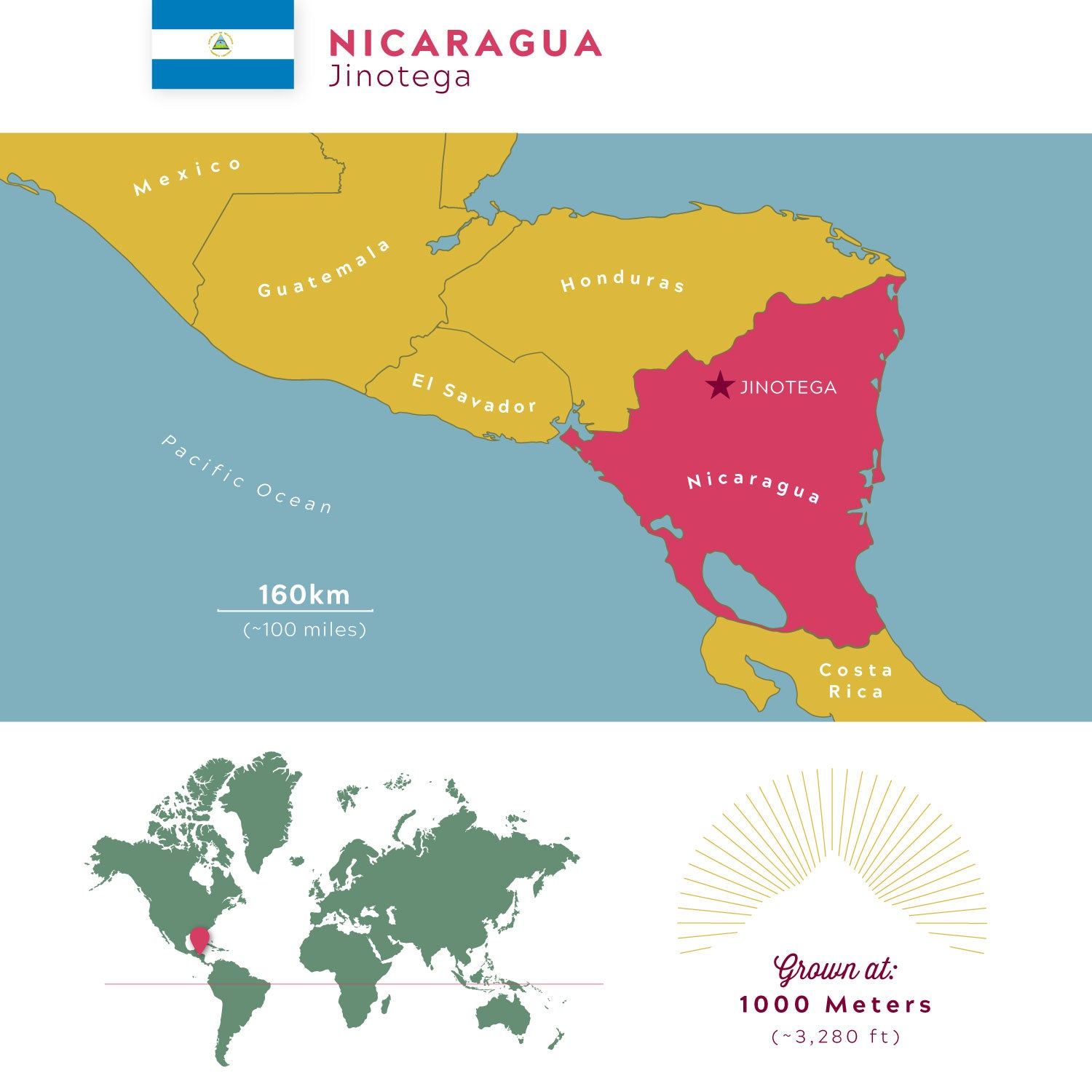 Organic Nicaraguan Jinotega – Medium Roast