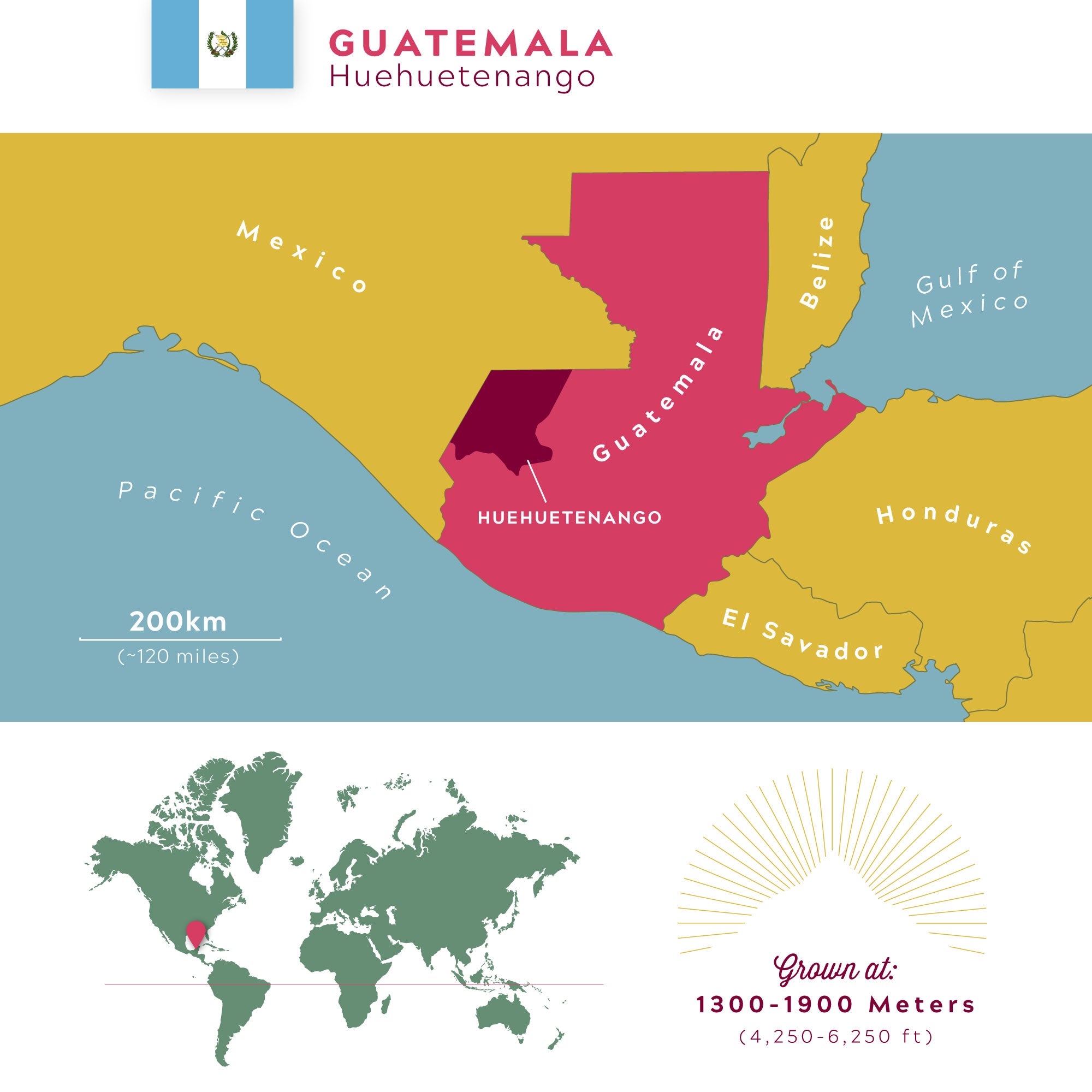 Organic Guatemalan Huehuetenango - 2022 – Medium Roast