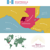 Load image into Gallery viewer, Bulk Organic Guatemalan Huehuetenango – Medium Roast