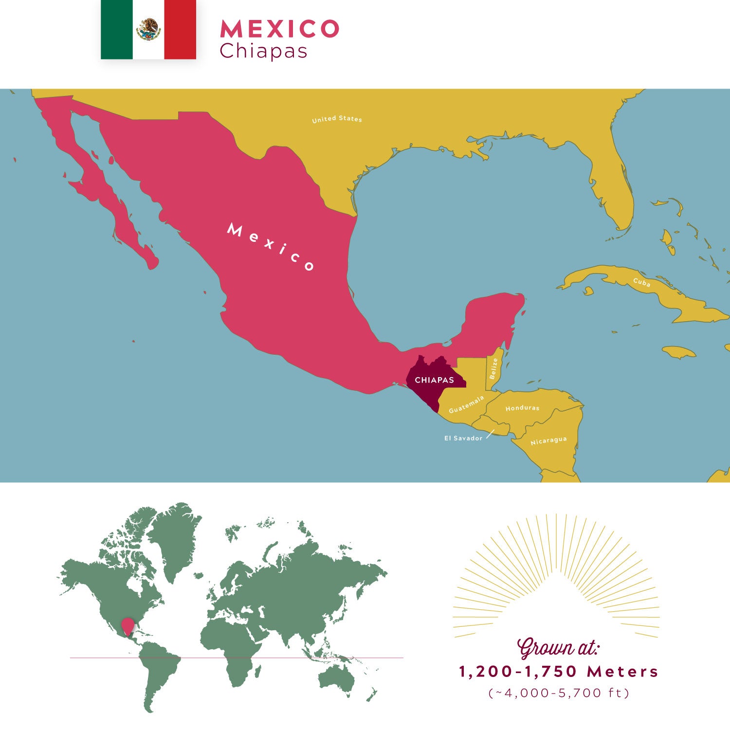 Organic Mexican Chiapas – Medium-Dark Roast