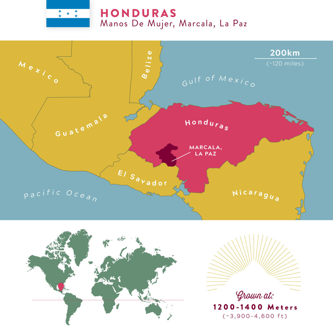 Honduran Manos De Mujer | Marcala, Medium Roast