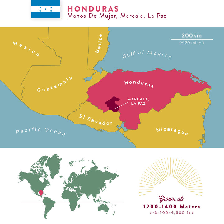 Honduran Manos De Mujer | Marcala, Medium Roast