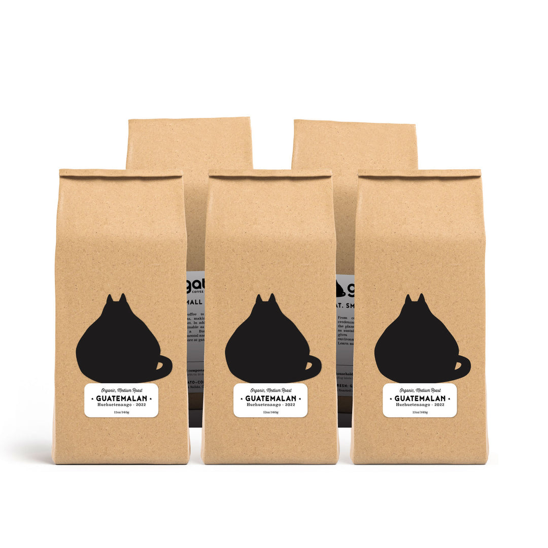 Bulk Guatemalan Huehuetenango — Medium Roast