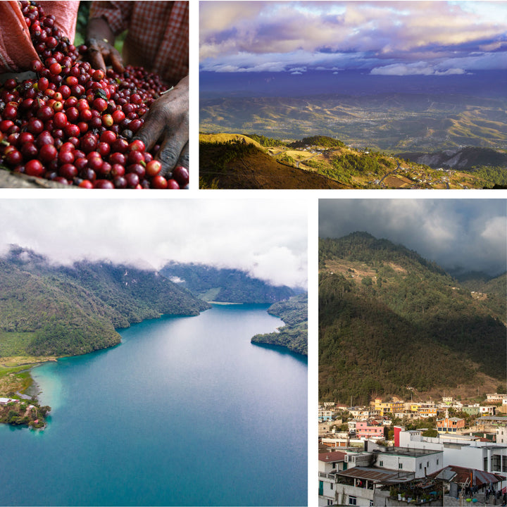 Bulk Guatemalan Huehuetenango — Medium Roast