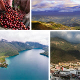 Load image into Gallery viewer, Organic Guatemalan Huehuetenango - 2022 – Medium Roast