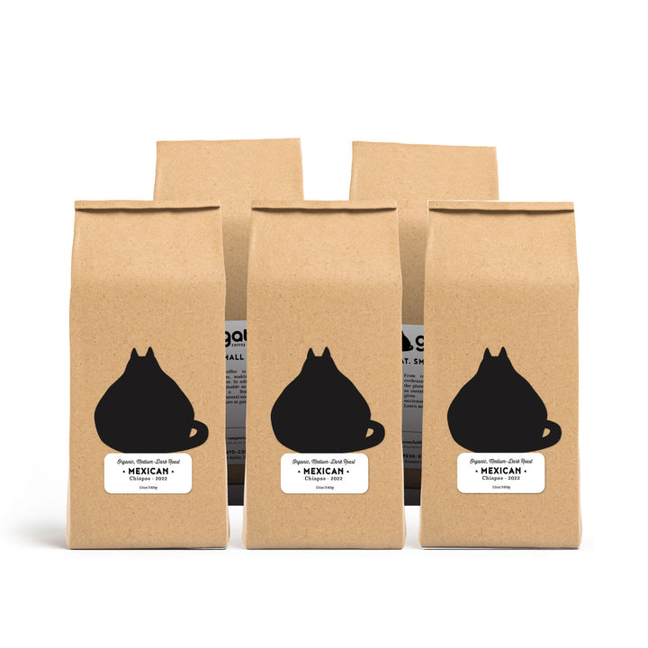 Bulk Mexican Chiapas — Medium-Dark Roast