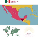 Load image into Gallery viewer, Organic Mexican Chiapas - 2022 – Medium-Dark Roast